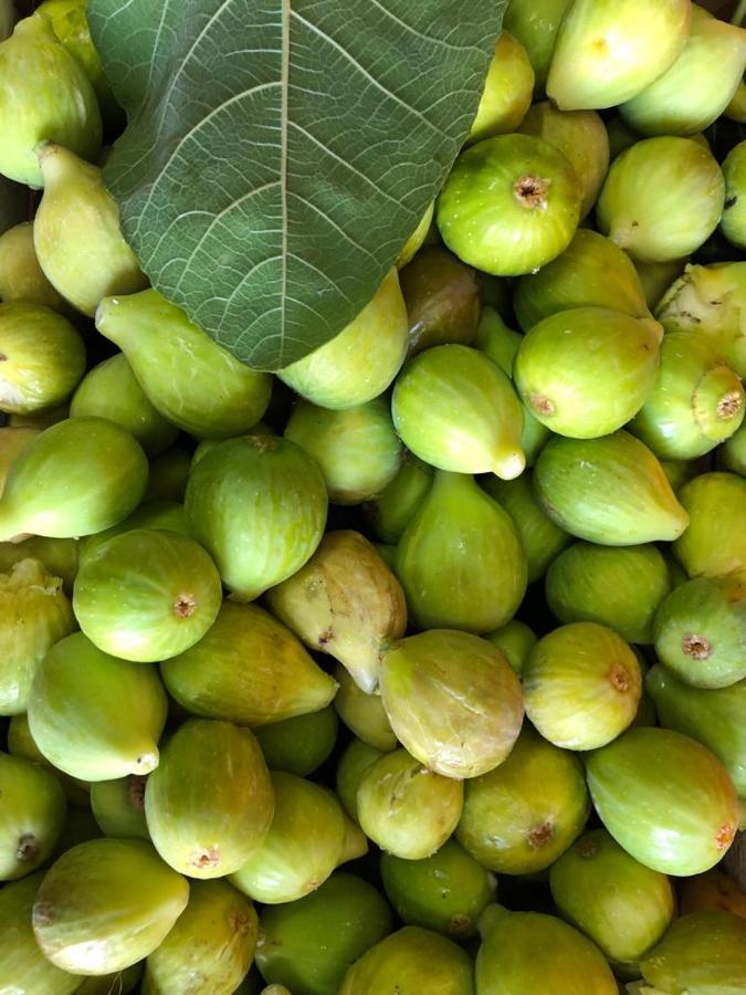 فيلا Mename أغروبولي المظهر الخارجي الصورة